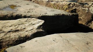 都会の中の落ち着く空間