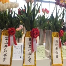 チューリップ四季彩館