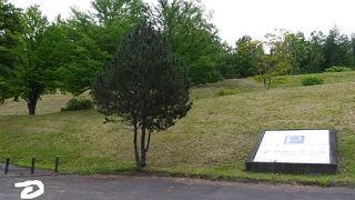 展望台のデザインが目を引く公園