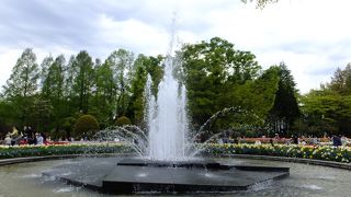 今年もやって来ました。チューリップフェアのメイン会場です。