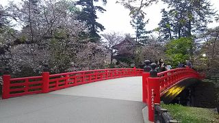 春の桜以外　秋の紅葉時期もお勧めです
