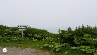 その名にあやかりたい滝だけど