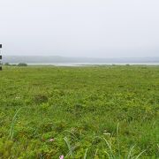 原生花園も広がる海跡湖