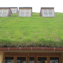 草で覆われた大屋根