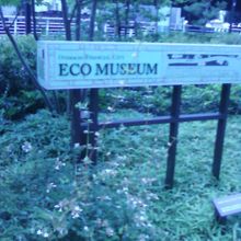 大都会の真ん中に。