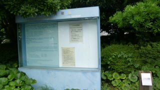 開館日を確認し訪問をしましょう