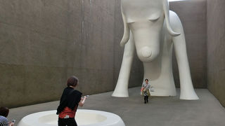 あおもり犬は大人気