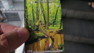 景色があまり見えないスカイトレイン