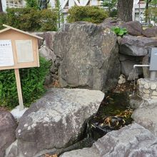 ４手押しポンプで水を出したところ