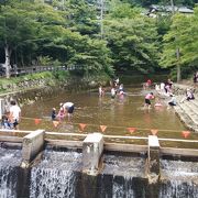 夏は子供が川で水遊びができます