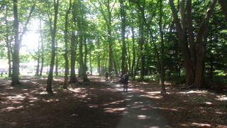 夏は避暑にも良いです