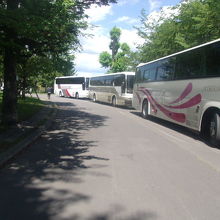 バスが並ぶ光景