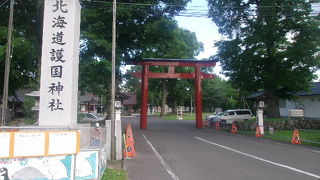 金魚すくい大会も開催されるそうです！