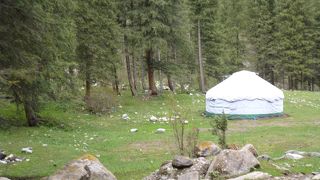 ところどころで見かけます