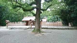 本宮のミニチュア