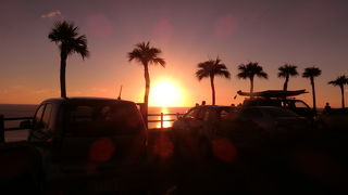 朝から夜まで見所いっぱい