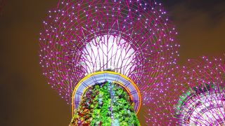 よく見ると張りボテの作り物だけど、近未来の自然と共存の仕方なのかと考えされられた。単なる観光としても、見るところの少ないシンガポールとしては、昼間も夜も意外と楽しめた。