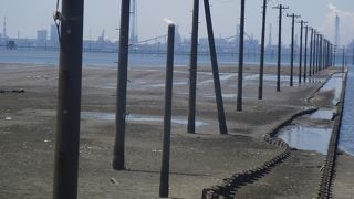 ボリビアより遠くかおなしより行く甲斐なし