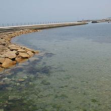 綺麗な海水浴場。