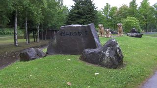 静かで車中泊向きかも