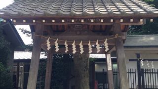 礼儀を守らせて