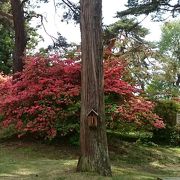 御屋敷公園はつつじの名所