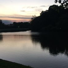 最近はポケモンgoポイントです By 大宮公園のクチコミ フォートラベル