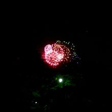 大宮公園からもさいたま市花火大会大和田会場の花火が見えます！