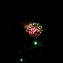 大宮公園からもさいたま市花火大会大和田会場の花火が見えます！