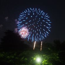 大宮公園からもさいたま市花火大会大和田会場の花火が見えます！