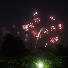 大宮公園からもさいたま市花火大会大和田会場の花火が見えます！