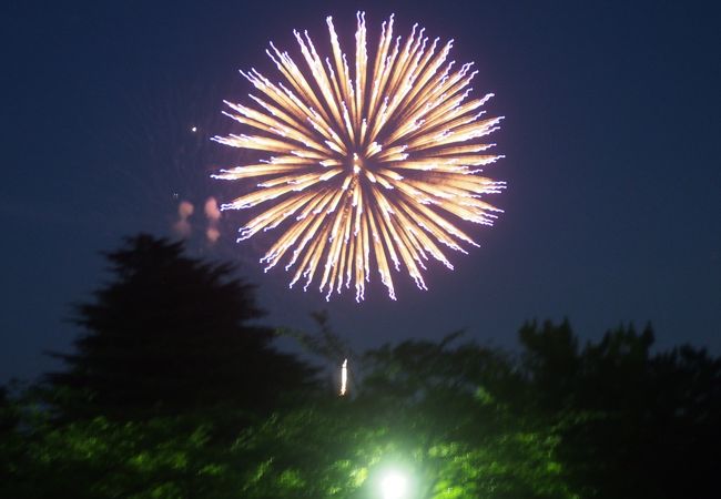 さいたま市花火大会 大和田公園会場 クチコミ アクセス 営業時間 大宮 フォートラベル さいたま市花火大会 大和田公園会場 クチコミ アクセス 営業時間 大宮 フォートラベル
