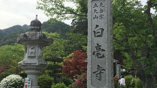 九尺藤で有名な丹波のお寺♪