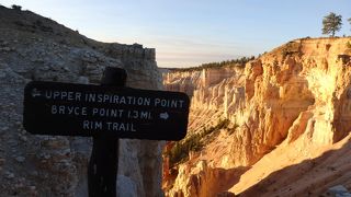 フードゥーを堪能。