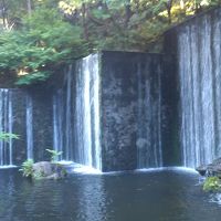 中庭にも季節感があります。