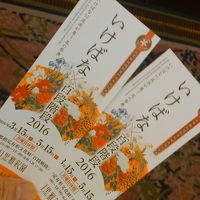 今回はいけばな展の鑑賞です。