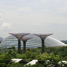 フラワードームとスーパーツリーグローブ