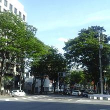 この通りの風景