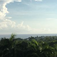 遠くに海が見えます