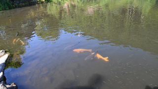 場所によって透明度が違う