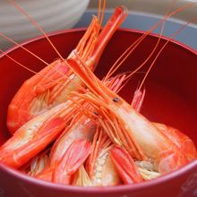 ホッカイシマエビボイル