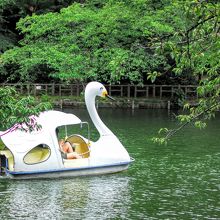 井の頭公園の井の頭池