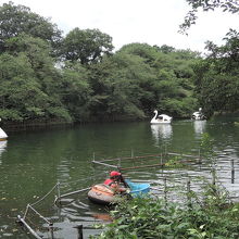 害魚の駆除作業