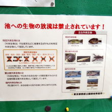 害魚に関する案内板