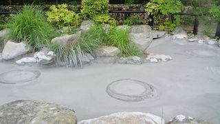 見ていて飽きません