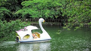 ポケモンGOの桜吹雪