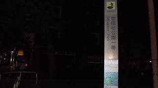 ポケモンGOやってる人だらけ・・・