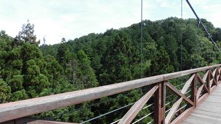 橋上から観音様見えます