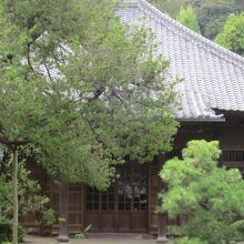 緑に囲まれ風情たっぷり