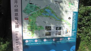 散策を楽しむことができて良かったです